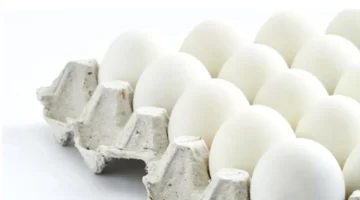 أسعار كرتونة البيض في الأسواق المصرية تنتعش مع استقرار وانخفاض مستمر منذ أسابيع 1